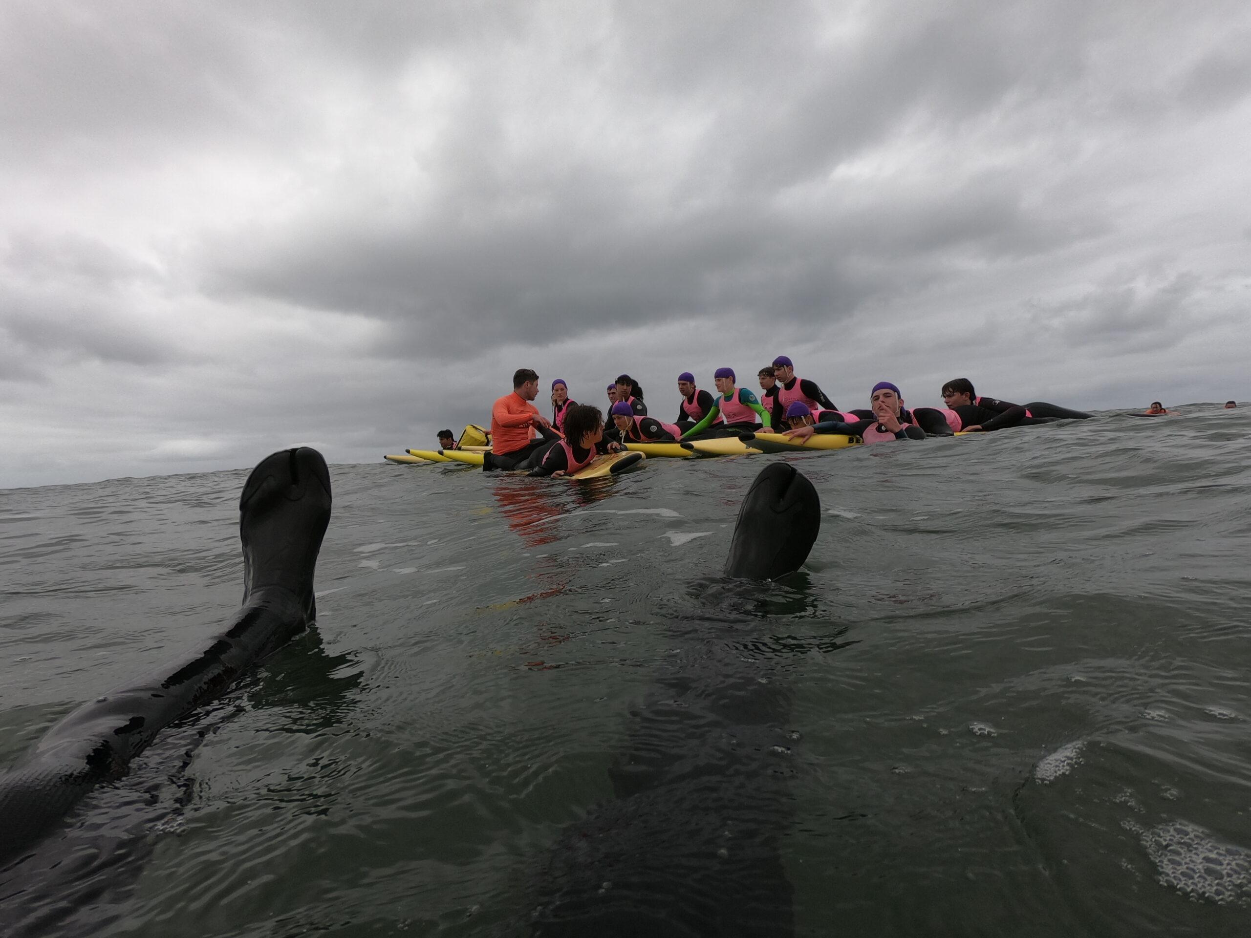 VCE VET Sport and Recreation Surf Bronze camp Kew High School